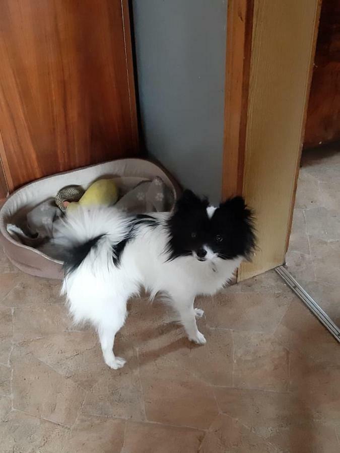Stocklhuberhof Διαμέρισμα Vandoies Εξωτερικό φωτογραφία